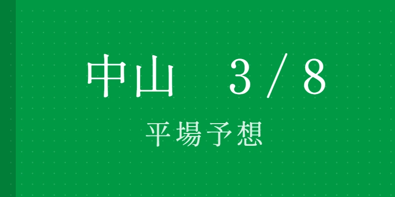 2026年3月8日 中山競馬場平場予想|Python解析による期待値特化レポート