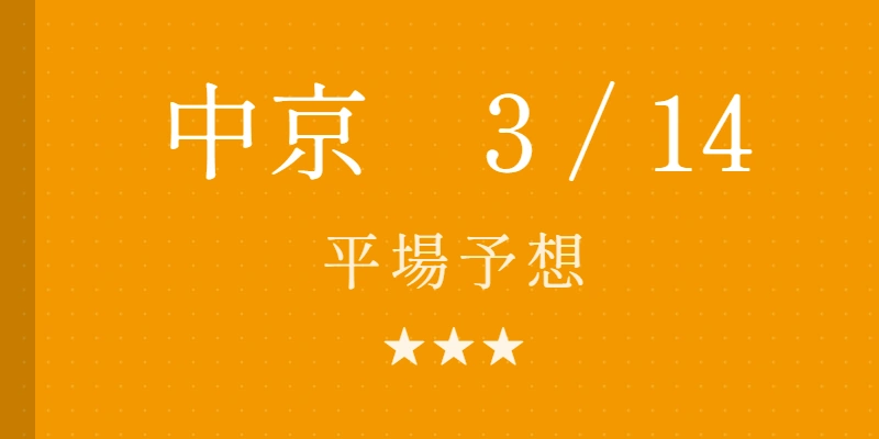 2026年3月14日 中京競馬場平場予想|Python解析による期待値特化レポート